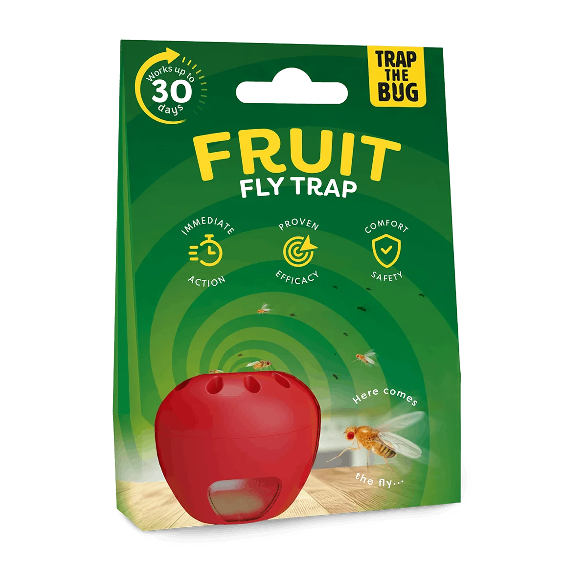 Fruit Fly Trap